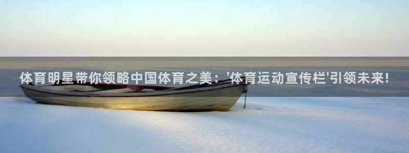 杏悦体育注册代理：体育明星带你领略中国体育之美：\'体育运动宣传栏\'引领未来!