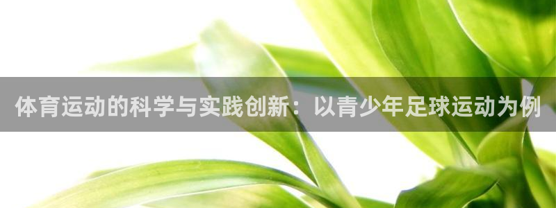 杏悦体育代理：体育运动的科学与实践创新：以青少年足球运动为例