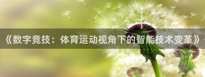 杏悦3官网：《数字竞技：体育运动视角下的智能技术变革》