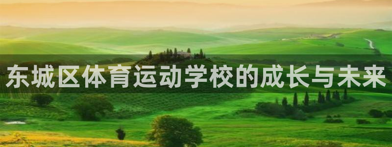 意昂4登录：东城区体育运动学校的成长与未来