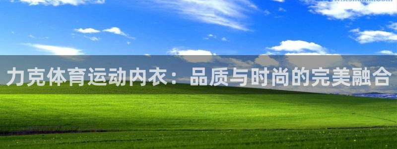 杏悦体育：力克体育运动内衣：品质与时尚的完美融合