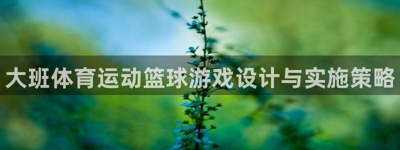 杏悦3平台登录注册：大班体育运动篮球游戏设计与实施策略